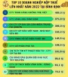 TOP 10 DOANH NGHIỆP CÓ SỐ NỘP LỚN NHẤT NĂM 2022